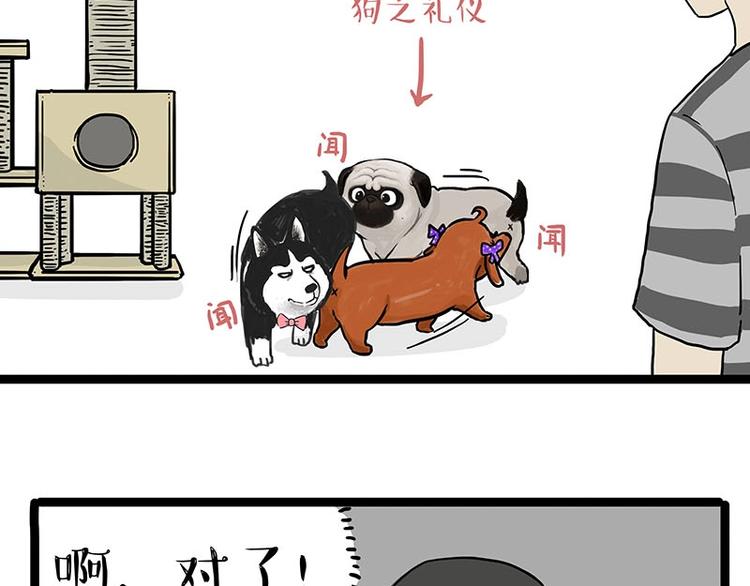 第155话 狗之礼仪4