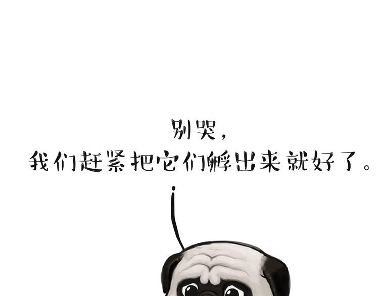 第157话 一颗蛋蛋15
