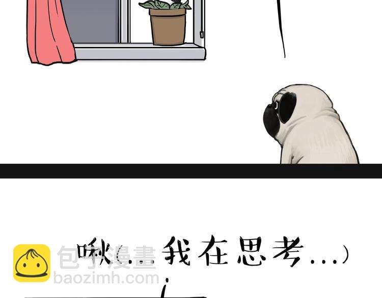 第157话 一颗蛋蛋2