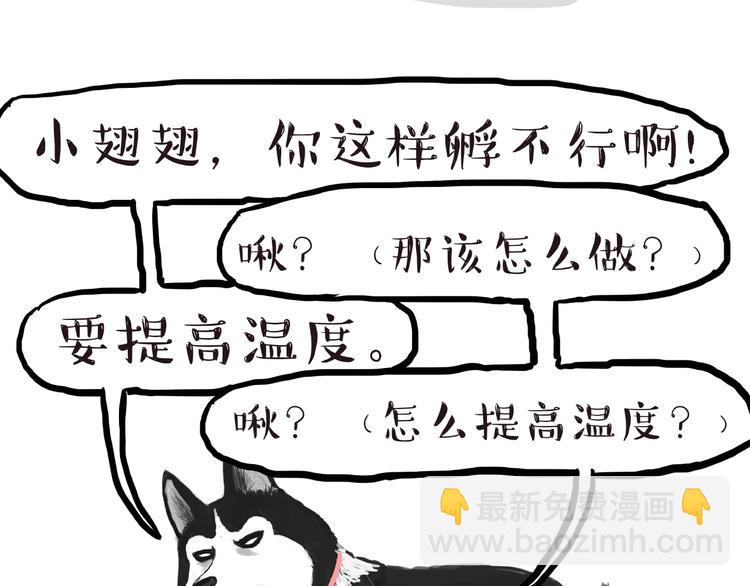 第157话 一颗蛋蛋23