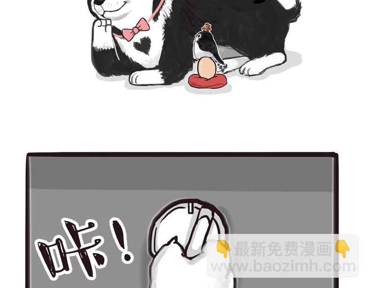 第157话 一颗蛋蛋24