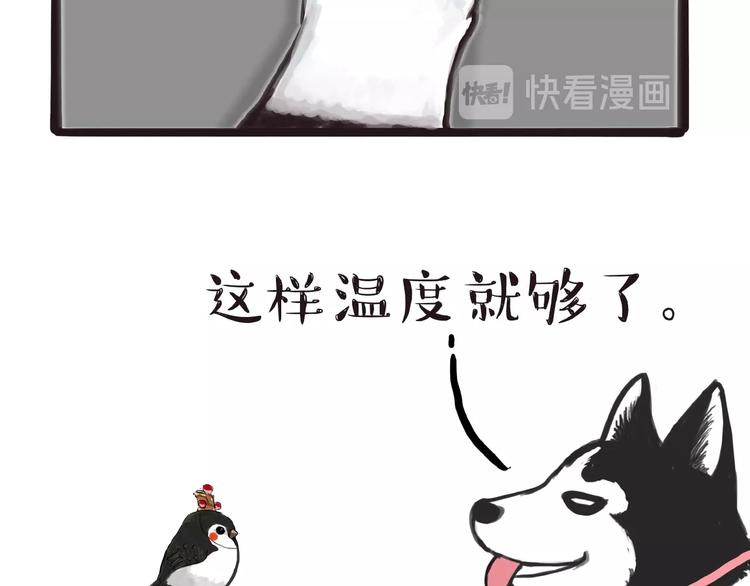 第157话 一颗蛋蛋25