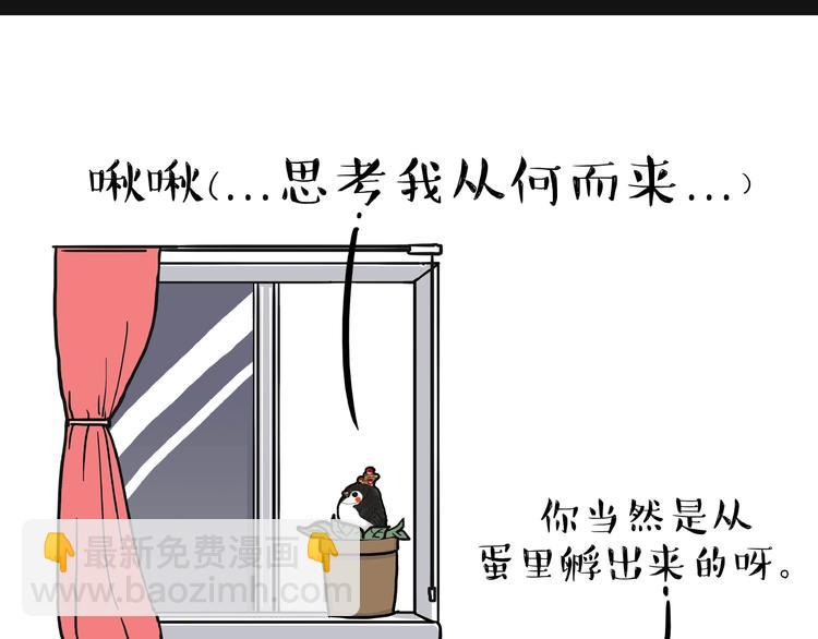 第157话 一颗蛋蛋4