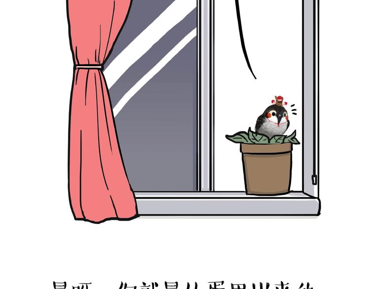 第157话 一颗蛋蛋6
