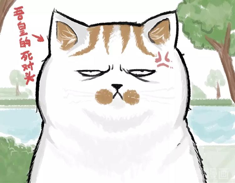 第158话 傲霸日常19