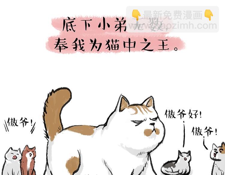 第158话 傲霸日常2