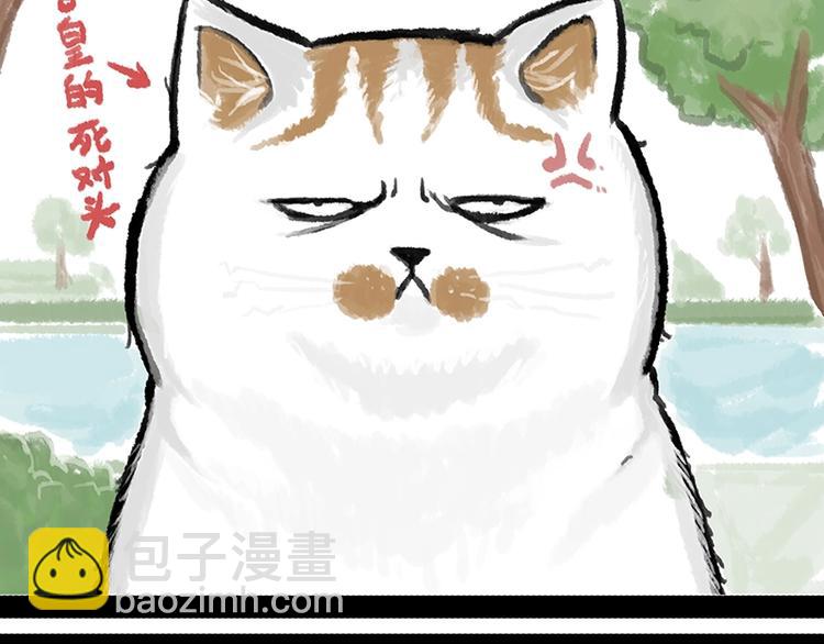 第158话 傲霸日常31