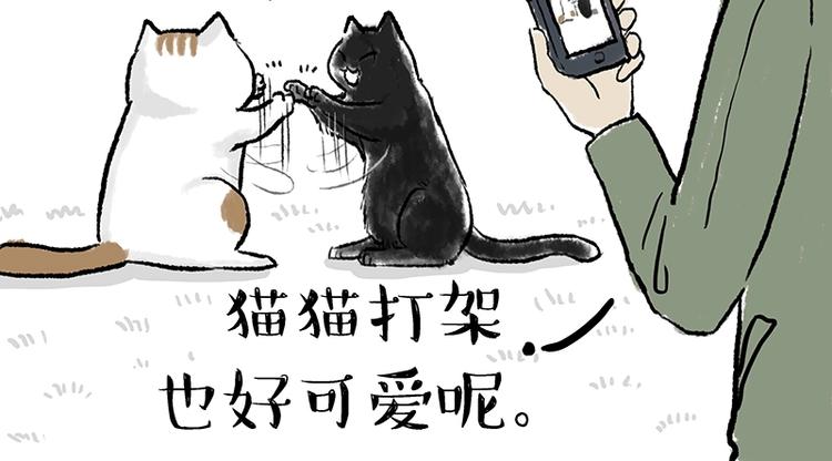 第158话 傲霸日常41