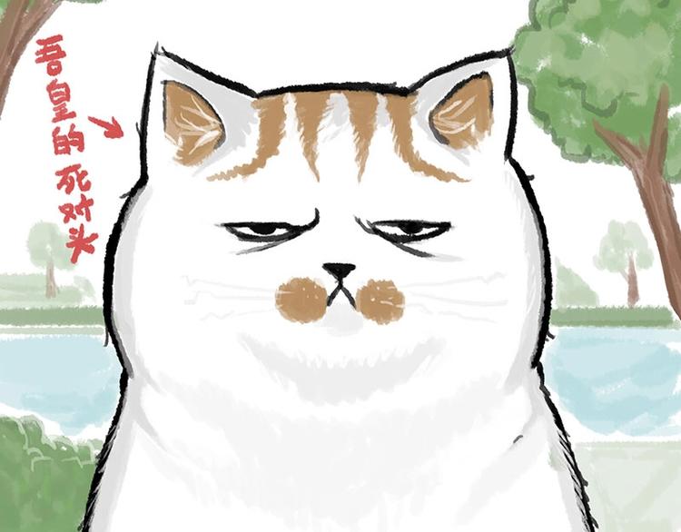 第158话 傲霸日常8