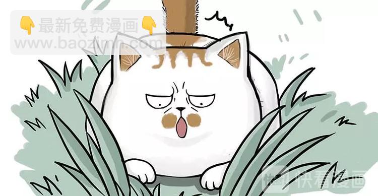第159话 傲霸日常（二）12