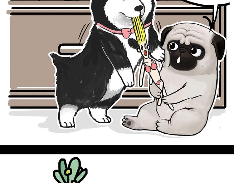 第160话 最差的一届哈士奇！1
