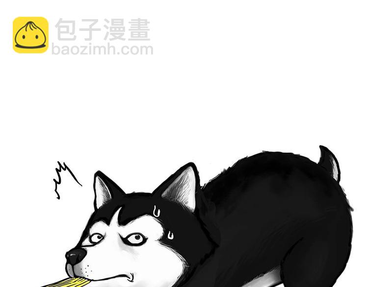 第160话 最差的一届哈士奇！10