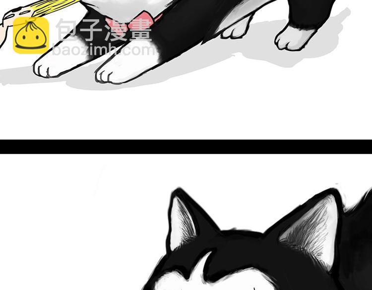 第160话 最差的一届哈士奇！11