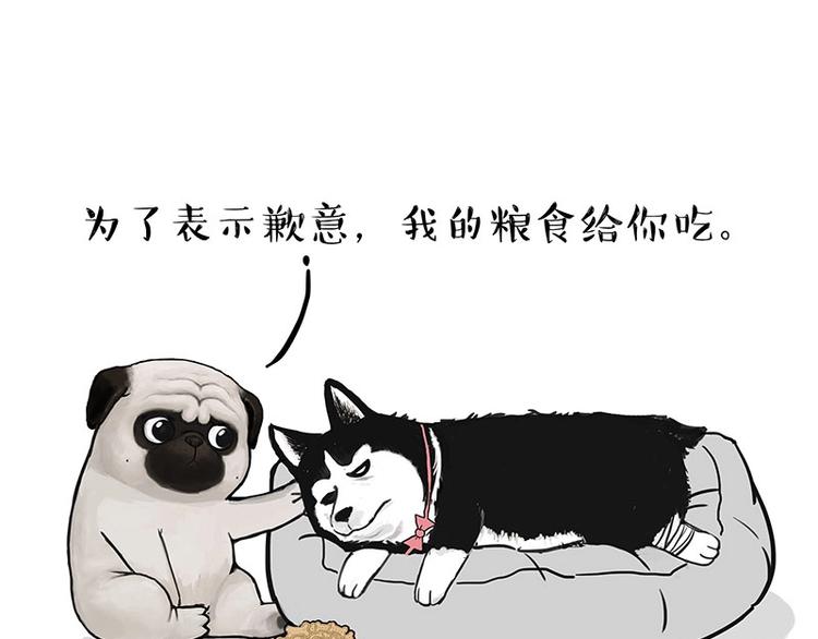 第160话 最差的一届哈士奇！19