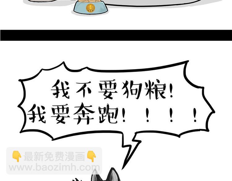 第160话 最差的一届哈士奇！20