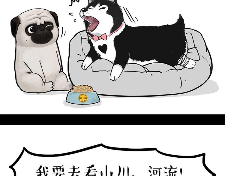 第160话 最差的一届哈士奇！21