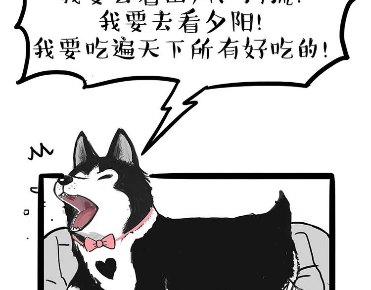 第160话 最差的一届哈士奇！22