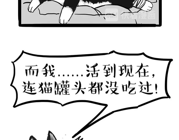 第160话 最差的一届哈士奇！23