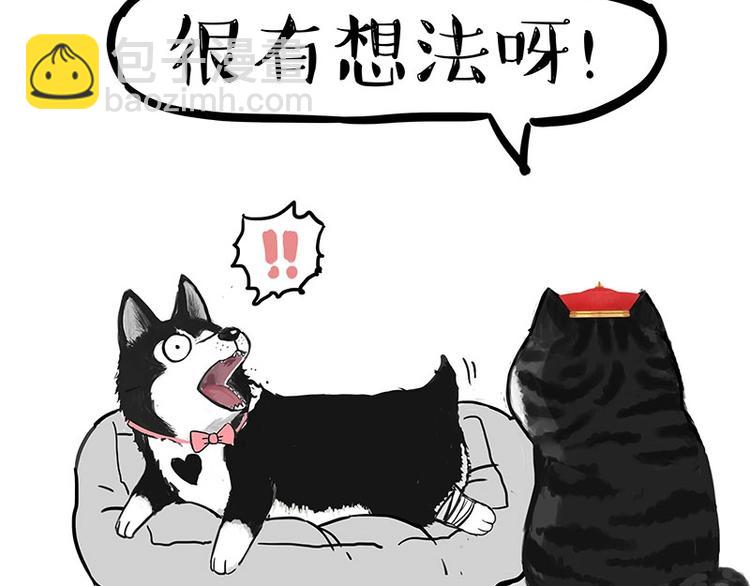 第160话 最差的一届哈士奇！25