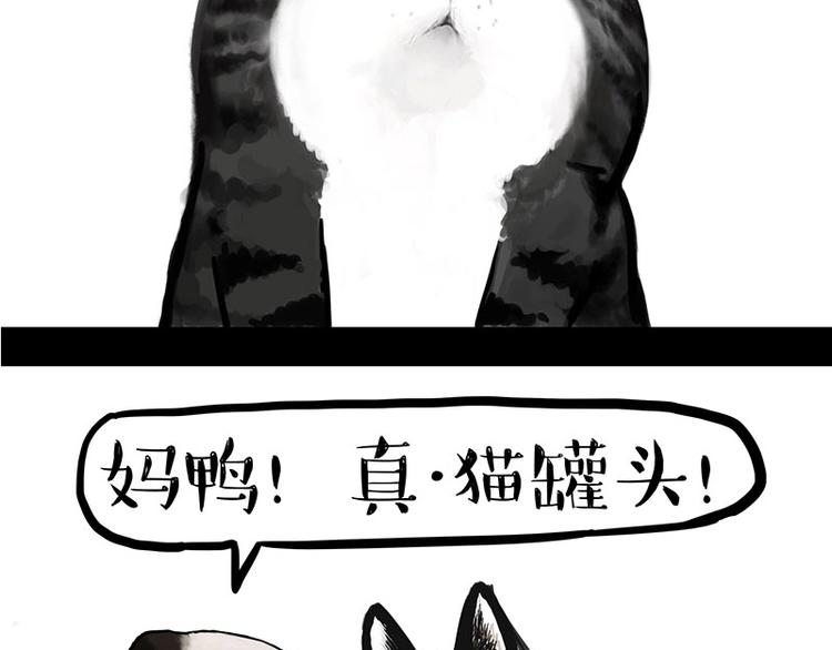 第160话 最差的一届哈士奇！28