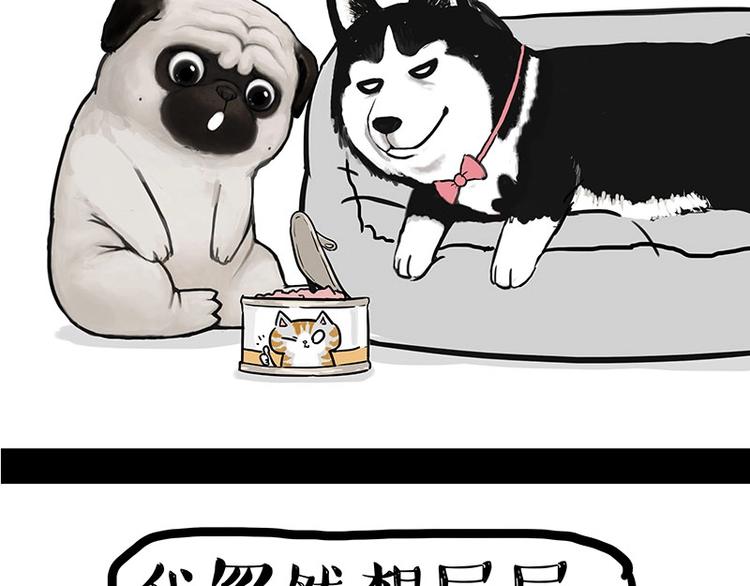 第160话 最差的一届哈士奇！29