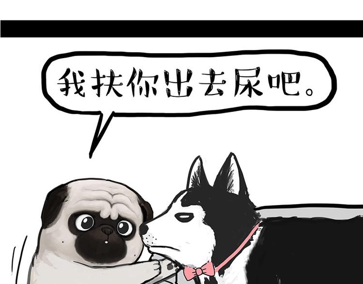第160话 最差的一届哈士奇！31