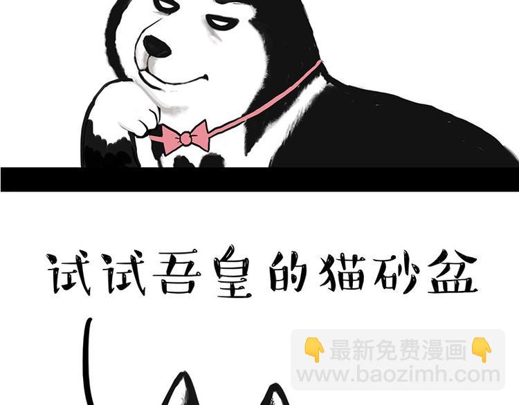 第160话 最差的一届哈士奇！33