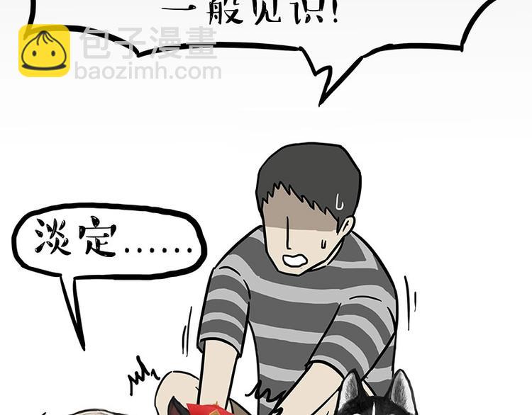 第160话 最差的一届哈士奇！40