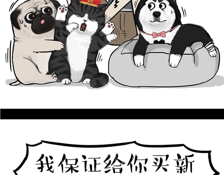 第160话 最差的一届哈士奇！41