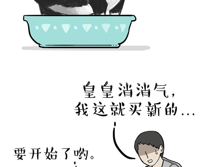 第160话 最差的一届哈士奇！45