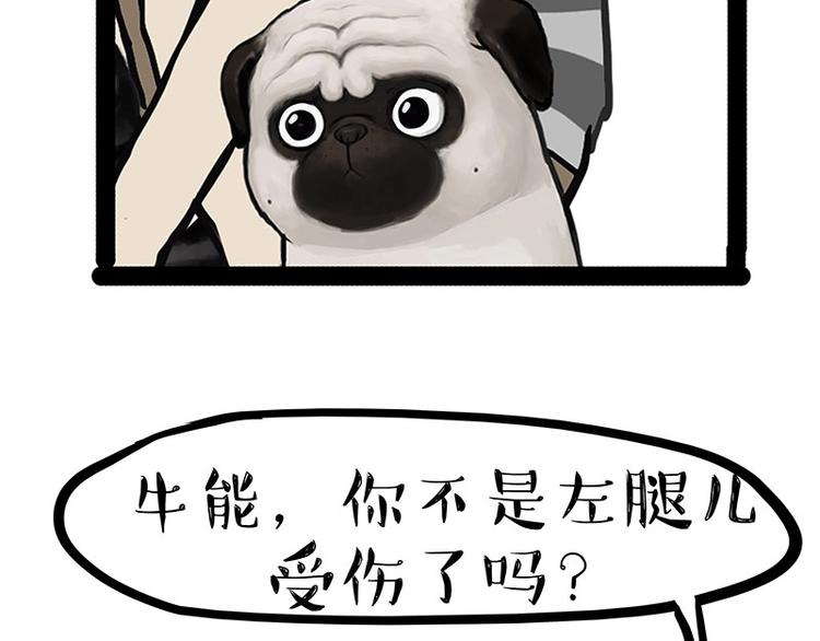 第160话 最差的一届哈士奇！51