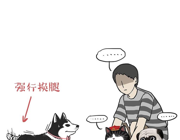 第160话 最差的一届哈士奇！56