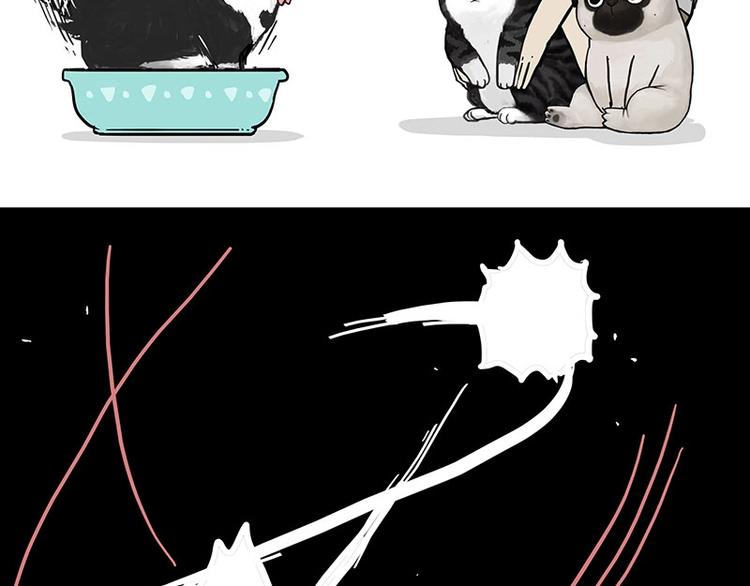 第160话 最差的一届哈士奇！57
