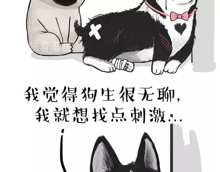 第160话 最差的一届哈士奇！59