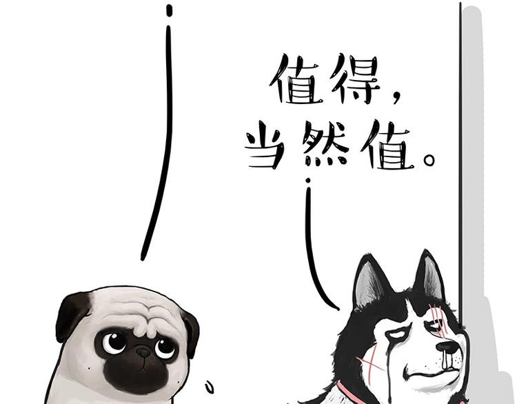 第160话 最差的一届哈士奇！61