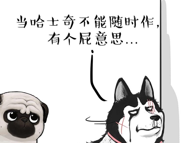 第160话 最差的一届哈士奇！64