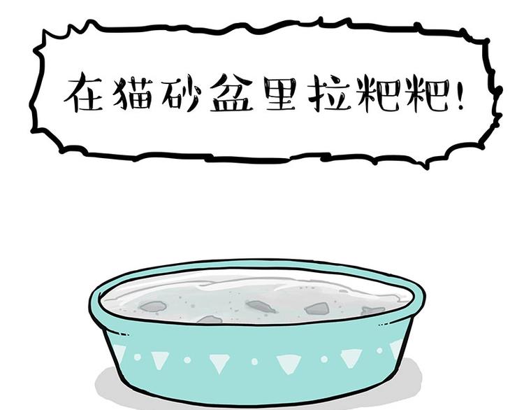第160话 最差的一届哈士奇！67