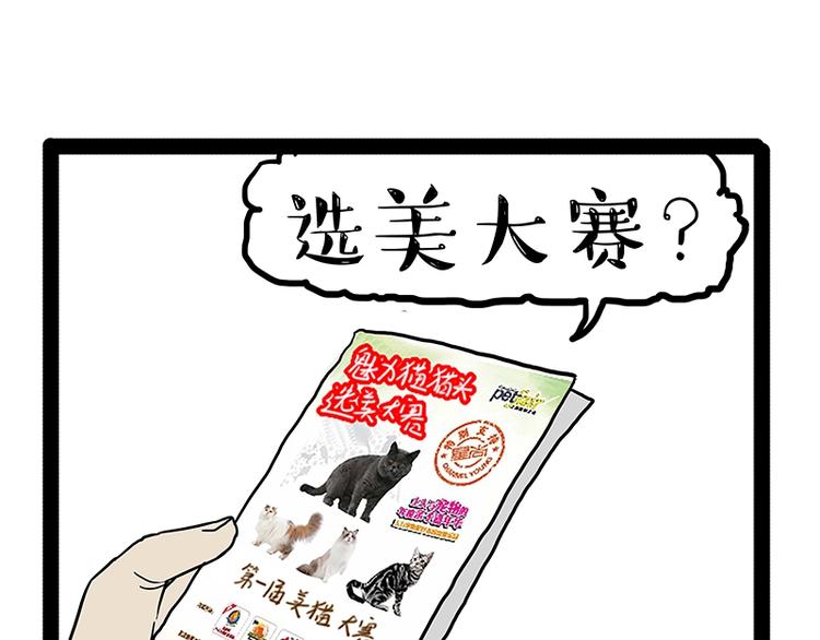 第162话 喵星人选美大赛0