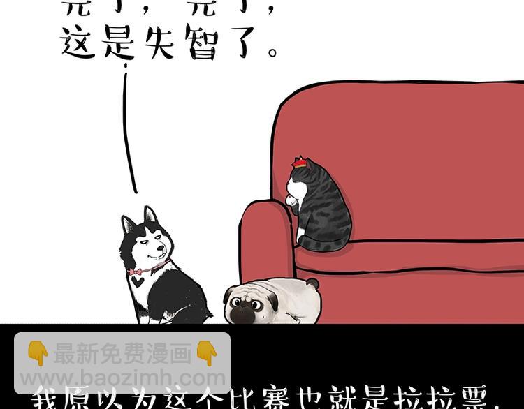 第162话 喵星人选美大赛13