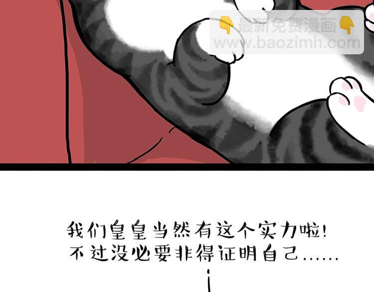 第162话 喵星人选美大赛4