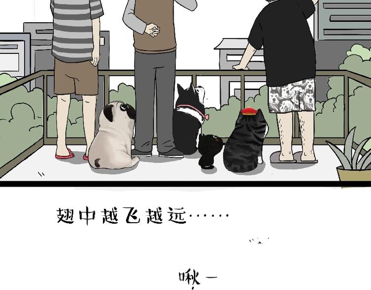 第163话 记得回家看看5