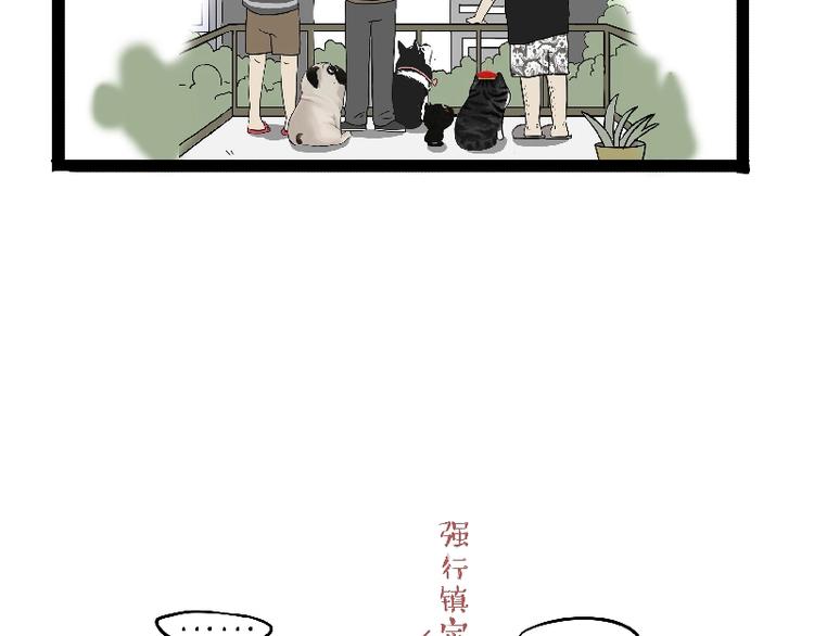 第163话 记得回家看看8