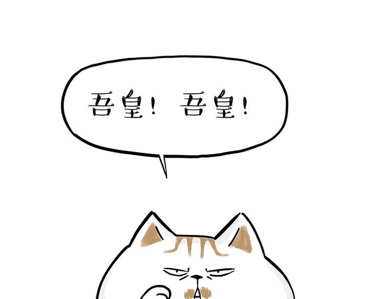 第167话 猫王争霸赛0