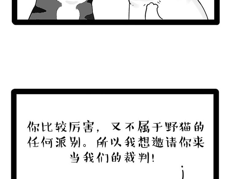 第167话 猫王争霸赛10
