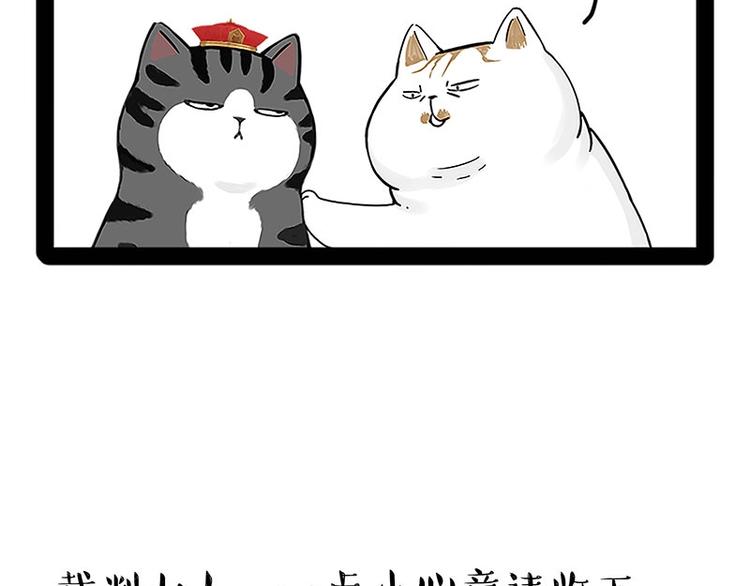 第167话 猫王争霸赛11