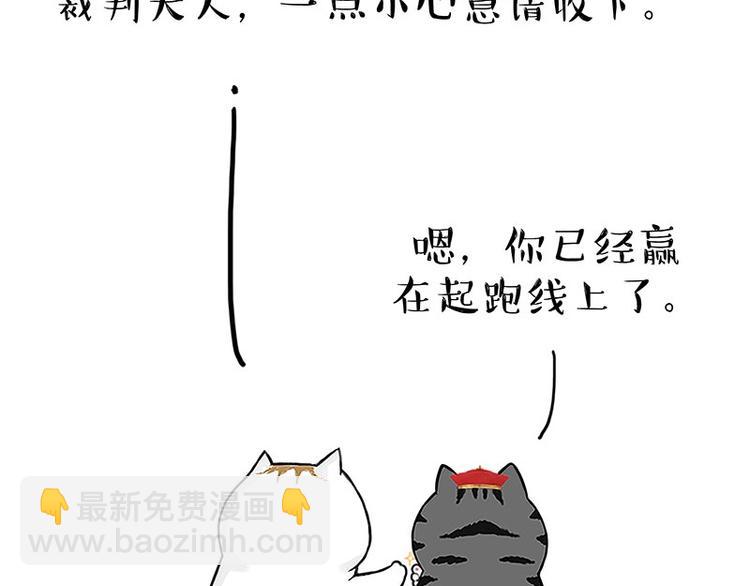 第167话 猫王争霸赛12