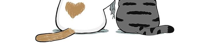 第167话 猫王争霸赛13