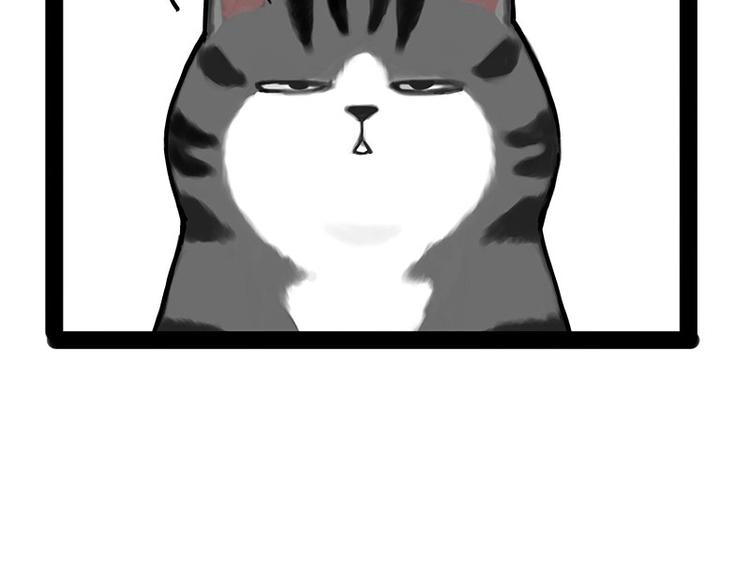 第167话 猫王争霸赛16