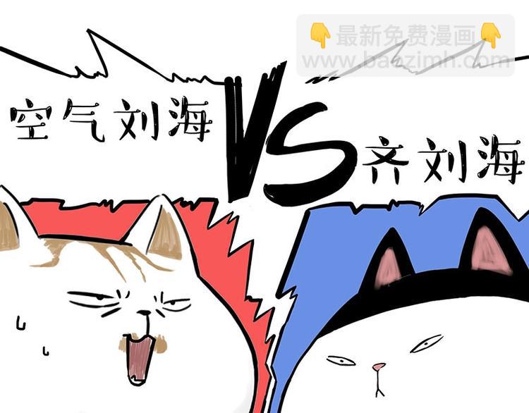 第167话 猫王争霸赛17