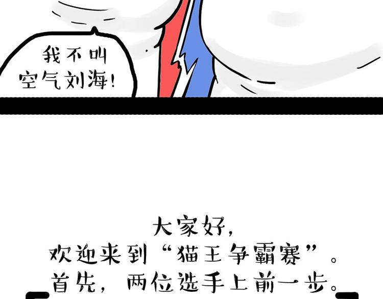第167话 猫王争霸赛18